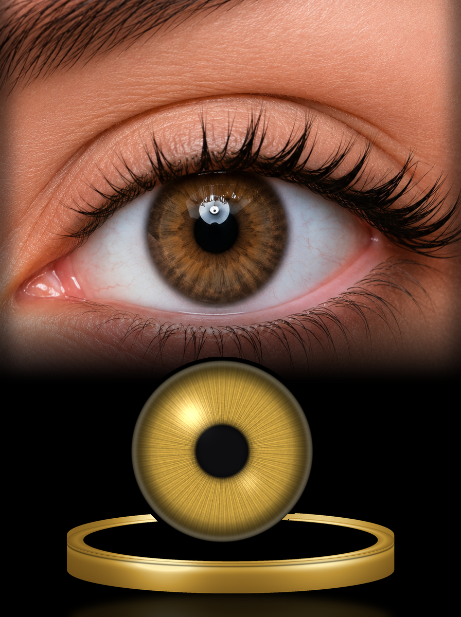 La'Bella Real · With Contour Cappuccino